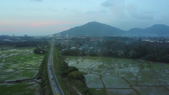 The KTM train pass through the paddy field