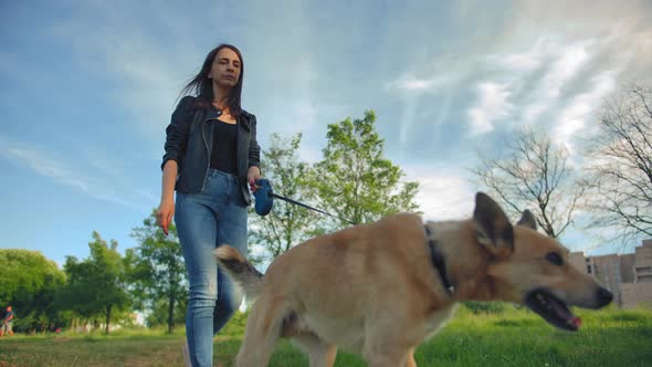 A Beautiful Long-haired Young Woman in Jeans Leads Her Red-haired Dog for a Walk.