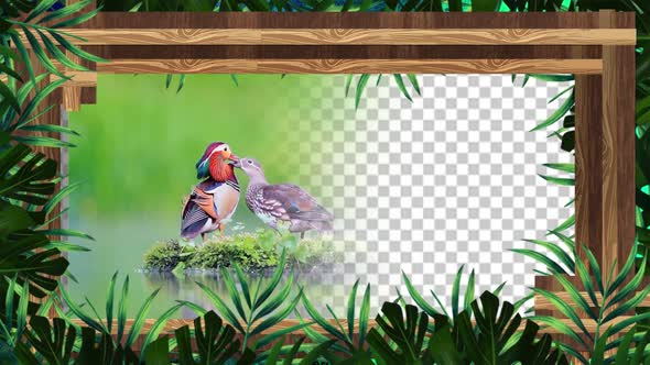 4k Wooden Frame With Green Leaves Loop alt