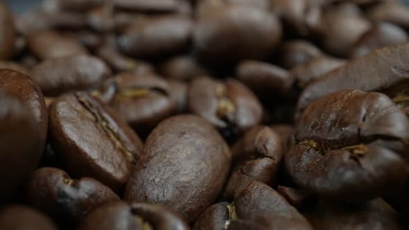 Roasted Coffee Beans