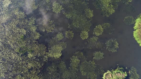 Beautiful Aerial Shot of a Large Forest Lake.