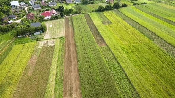 Aerial view of green agriculture fields in spring with fresh vegetation after seeding season.