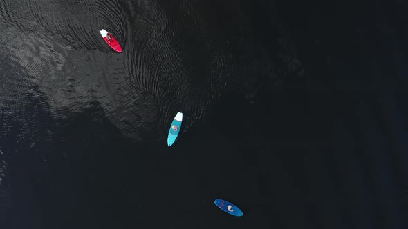 Top View of the Lake Where a Family Swims on Sup Boards at Sunset