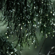 Rainforest Rain Ambience