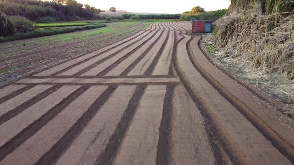 Agriculture field ready for planting, drone view going forward