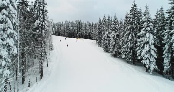 Winter Nature Background Landscape