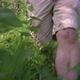 Front View of Walking Man's Legs in Shorts Rush in Jungle Forest - VideoHive Item for Sale