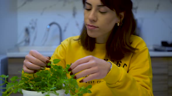 Woman Caring About Flowers