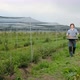 Walking positive, Farmer carries a box full of ripe harvested vegetables. - VideoHive Item for Sale