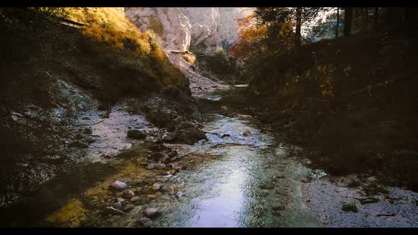 Aerial drone flight through otschergraben in autumn