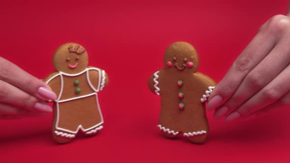 Gay Love Lgbt Pride Gingerbread Man Couple Kissing