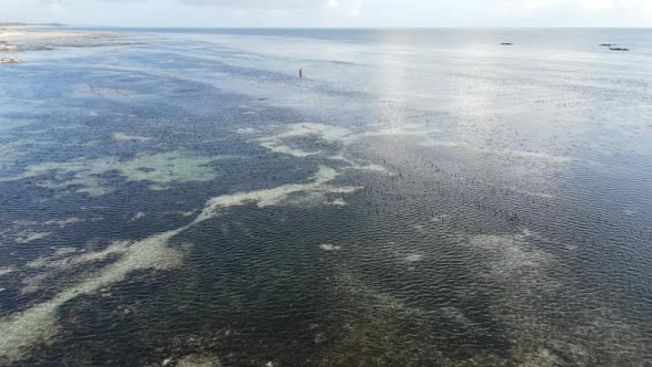 Shore of Zanzibar Island Tanzania at Low Tide Slow Motion