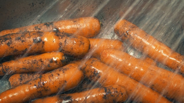 Soil Gets Rinsed Off Carrots In Sink