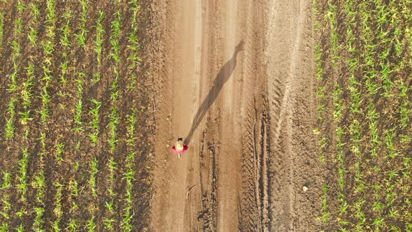 Smart Farming