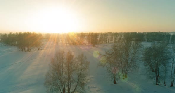 Aerial Drone View of Cold Winter Landscape with Arctic Field Trees Covered with Frost Snow and