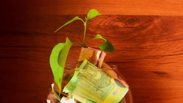 Banknotes In Glass Jar. Financial Growth Concept.