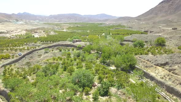 Flying above the farms in the spring. Breathe clean and fresh air.Watch the timeless green.