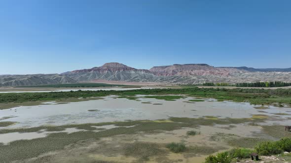 Nallihan Bird Sanctuary Marsh Aerial