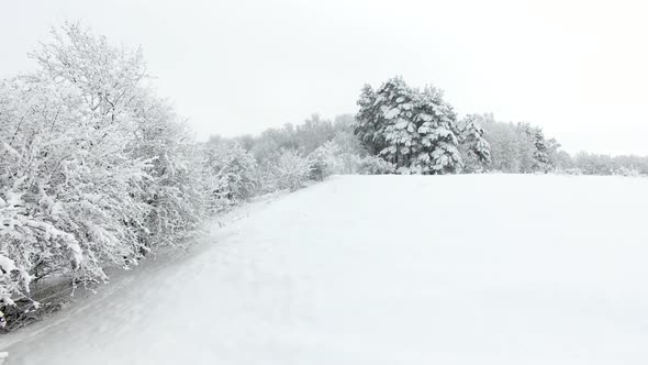 Aerial: Snow-covered countryside in deep winter