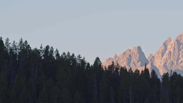 Zoomed panning view looking at the Grand Teton mountains peaking over forest