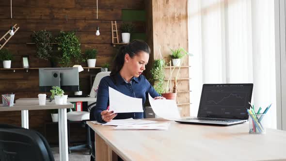 Beautiful Young Business Woman Working in the Conference Room