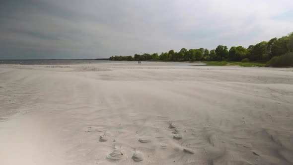 The wind drives sand along the Baltic beach