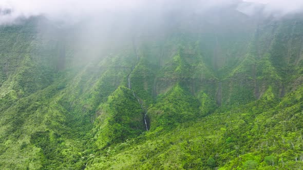 Dramatic Nature Landscape of Pouring Tropical Rain at Green Mountain Rainforest