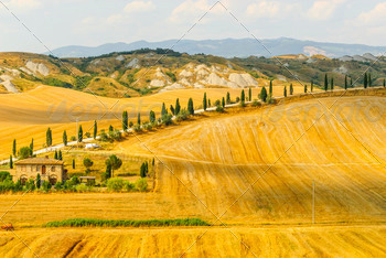 Orcia (Siena, Tuscany, Italy). Typical farm