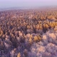 Aerial view of a frozen forest with snow covered trees at winter sunset - VideoHive Item for Sale
