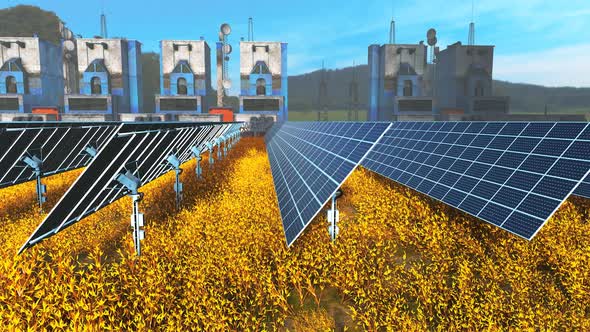 Solar Farm in Meadow