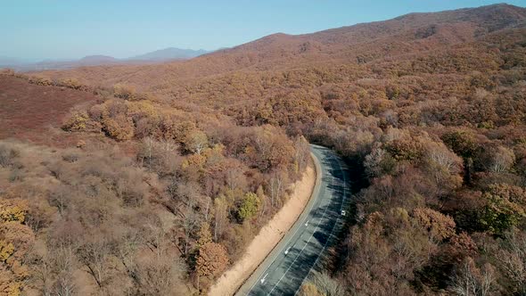 Aerial Shot of Car Driving on a Highway Road in Between Autumn Forest Fall Season