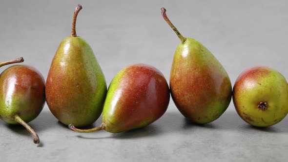 Row of fresh Dutch Gieser Wildeman pears close up