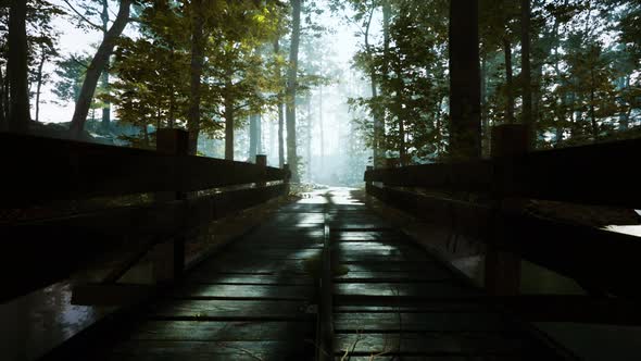 Old Wooden Bridge Over a Small Stream in a Park