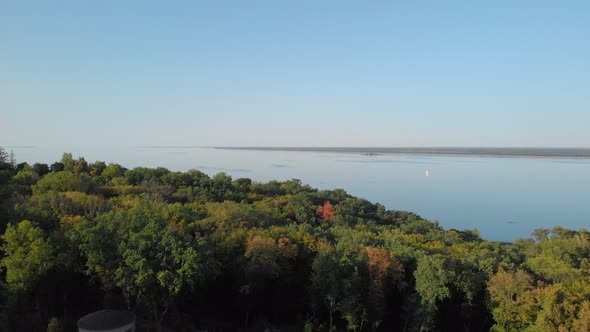 Landscape of a Forest Trees in Front of a Lake