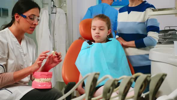 Dentist Explaining To Girl Procedure of Extraction Using Model of Dental Teeth