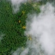 Aerial Drone Footage: Mountains Autumnt Forest Steam after Rain. - VideoHive Item for Sale