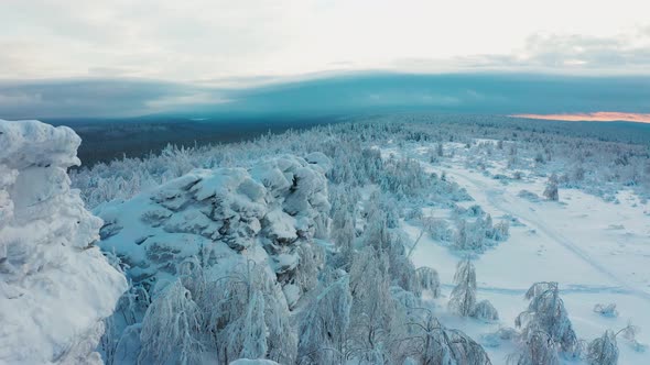 Cinematic Aerial View of the Endless Snow Forest From Behind the Cliff