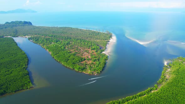 4K Aerial view of mangrove forest at khao jom pa, trang, Thailand. 4k Footage