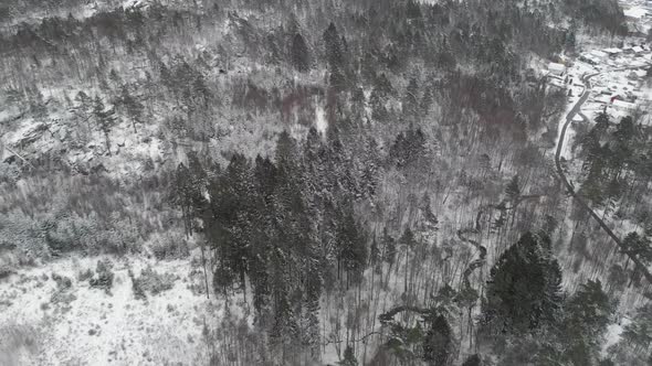 Scandinavia Winter Forest Curved River and Town in Background Aerial