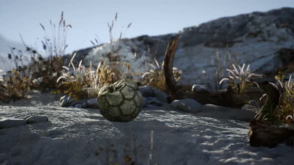 An Old Torn Soccer Ball Thrown Lies on Sand of Sea Beach