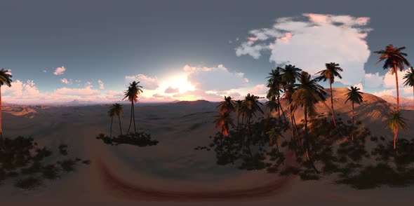 VR 360 Degree Aerial Panorama of Palms in Desert