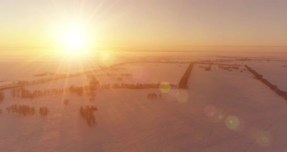 Aerial Drone View of Cold Winter Landscape with Arctic Field Trees Covered with Frost Snow and