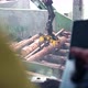 Worker Controls The Robot And The Conveyor Of The Woodworking Plant - VideoHive Item for Sale