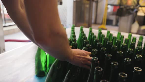 Beer Brewery Production. Man Putting Bottles On Conveyor Line