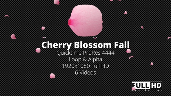 Cherry Blossom Fall HD