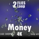 Money - VideoHive Item for Sale