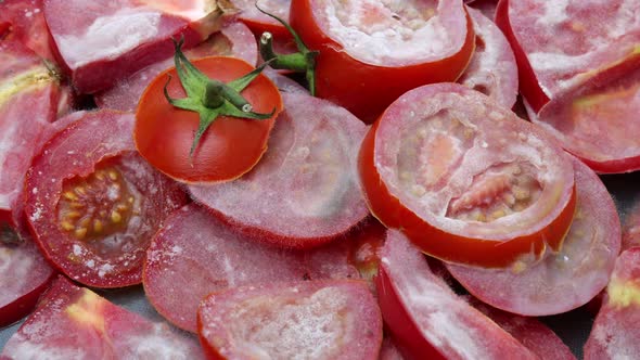 Decay Process in Time Lapse Tomato Dries Up Becomes Moldy and Rots Spoiled Harvest World Hunger