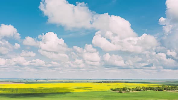 Aerial View Of Agricultural Landscape With Flowering Blooming Rapeseed, Oilseed In Field Meadow In