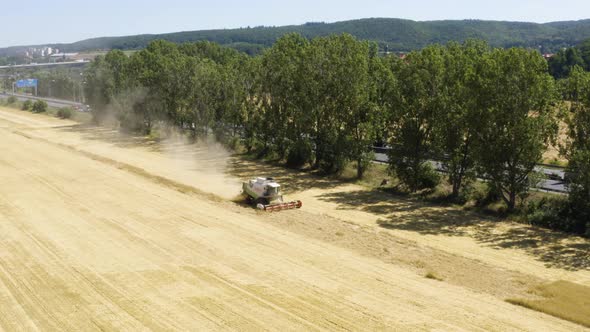 Aerial Drone Shot  a Combine Harvester Works in a Field in a Rural Area on a Sunny Day