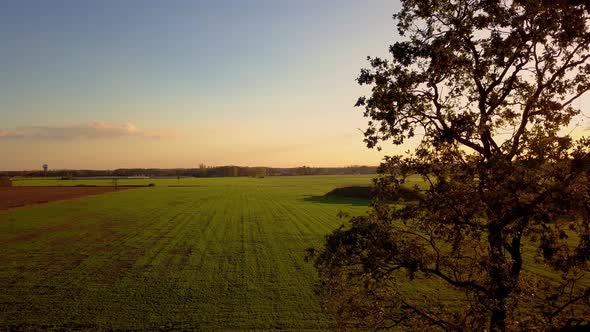 Aerial Cinematic Clip Drone Flying Over a Farm Field During Sunset